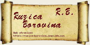Ružica Borovina vizit kartica